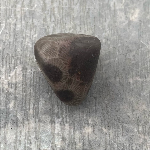 Petoskey stone - Picture 6 of 7